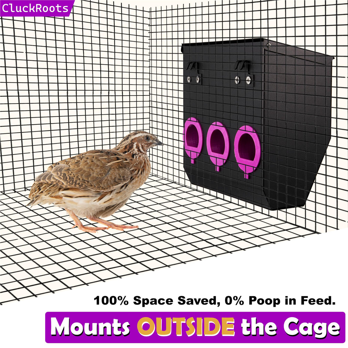 Close-up of spill-proof ports on Woobud CluckRoots feeder for tidy feeding.