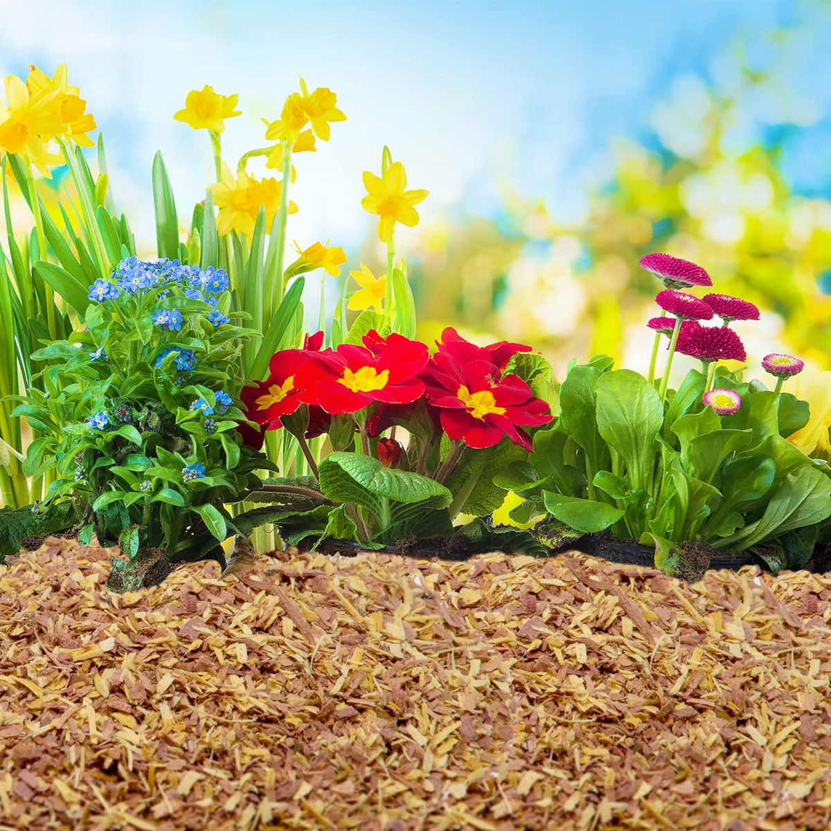 Wood Smith USA cedar chips suitable for dog bedding with natural scent