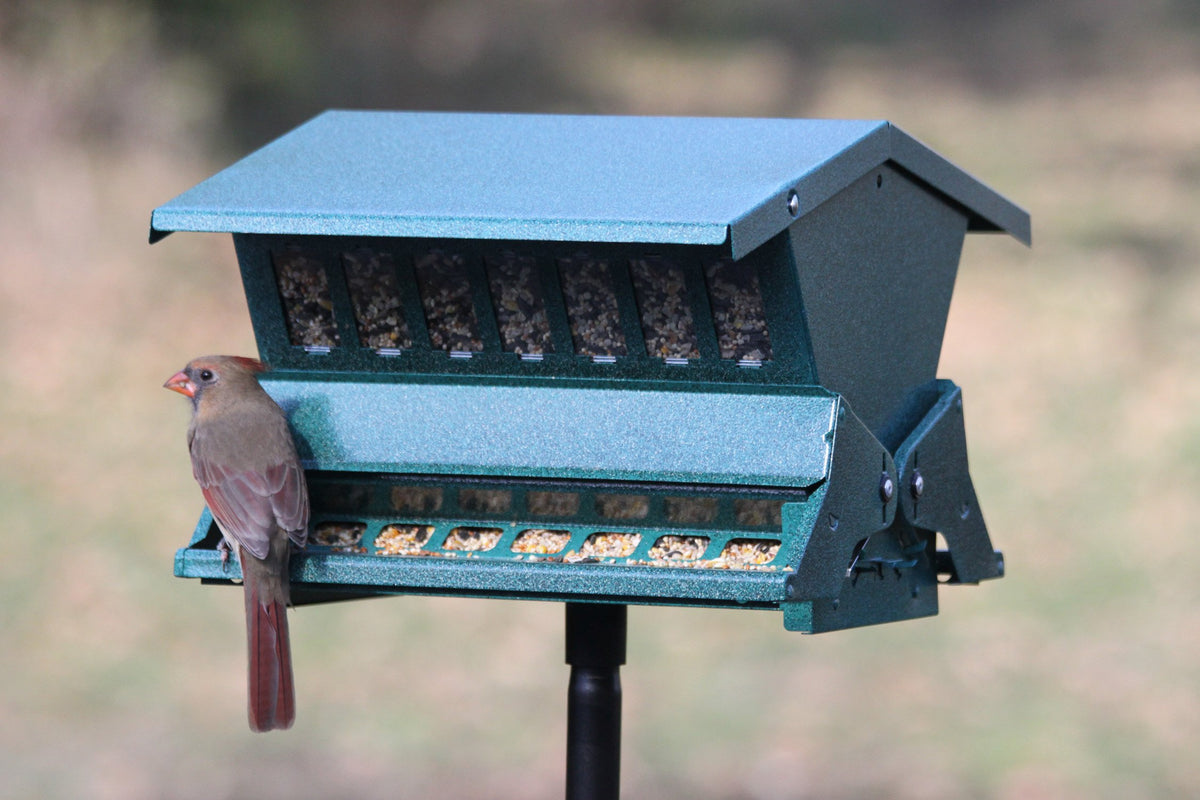 Woodlink Absolute II seed tray shield in action protecting seed