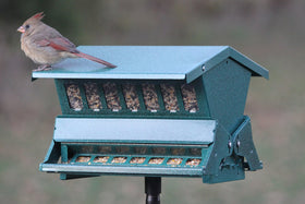 Woodlink Absolute II top view showing secure roof and seed access