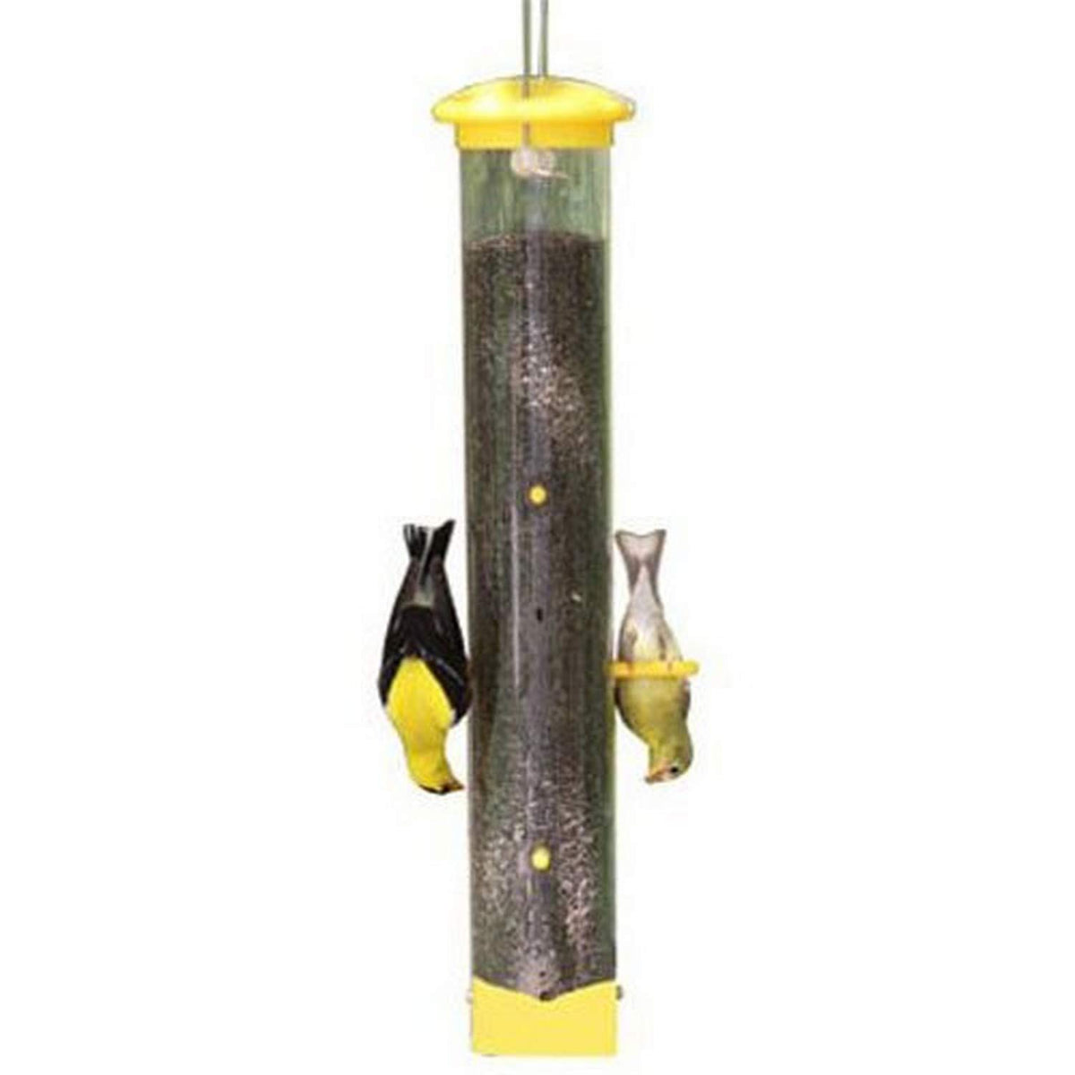 Woodlink Audubon Tails Up Nyjer Thistle Feeder; finches feed upside down for easier observation.