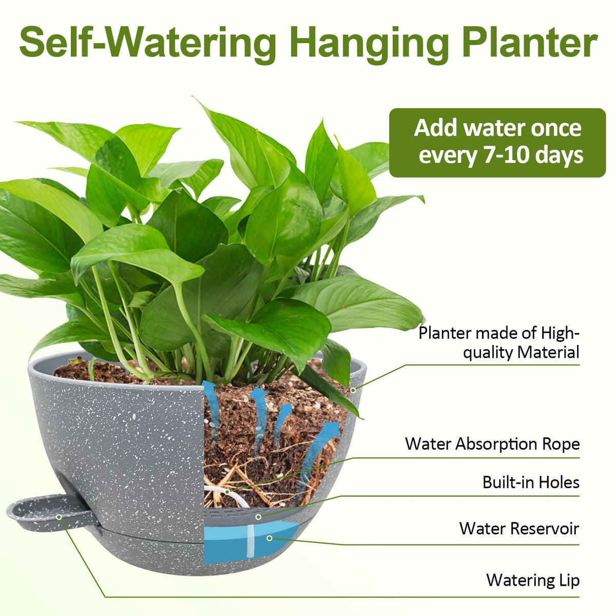 WOUSIWER 10-inch pot suited for indoor and outdoor use in versatile spaces.