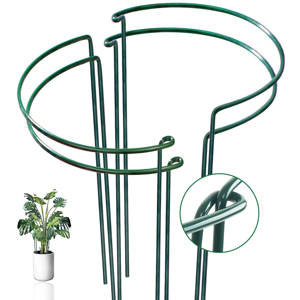 WooWellGoGoGo half-round plant support stabilizes indoor plants for lush, droop-free growth.