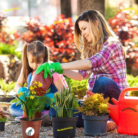 WooWellGoGoGo outdoor plant stake system adapts to garden layouts for outdoor plants.