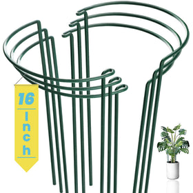 WooWellGoGoGo snake plant stake assembly provides sturdy indoor plant support
