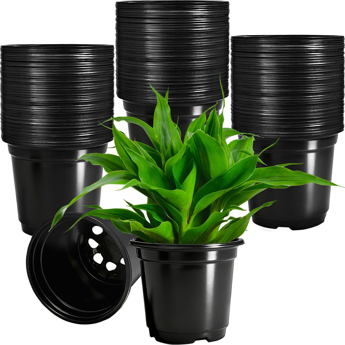 Woozettn flexible plastic nursery pots for seedling propagation and transplanting