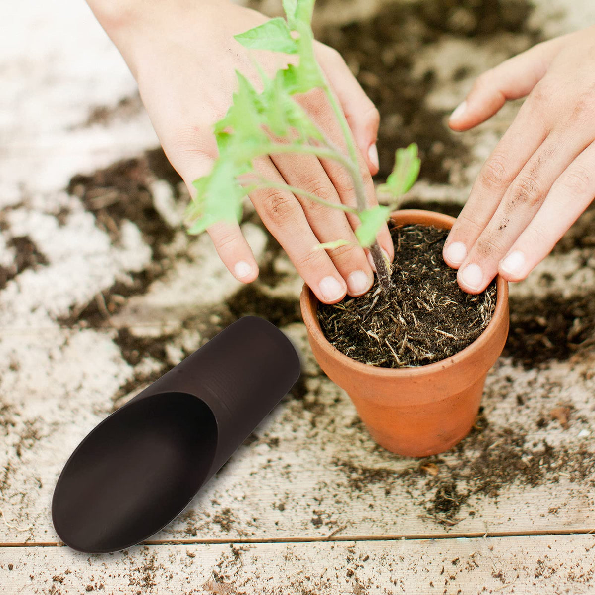WORAMUK giftable garden tools pack with colorful scoops.
