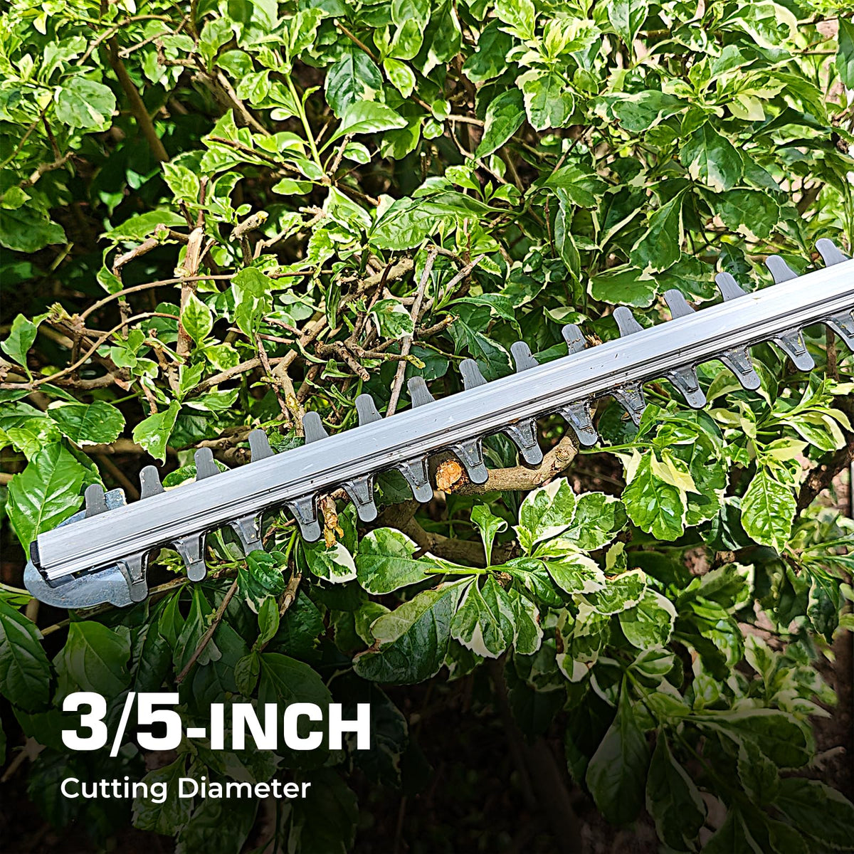 WORFCI hedge trimmer in outdoor use for garden maintenance.