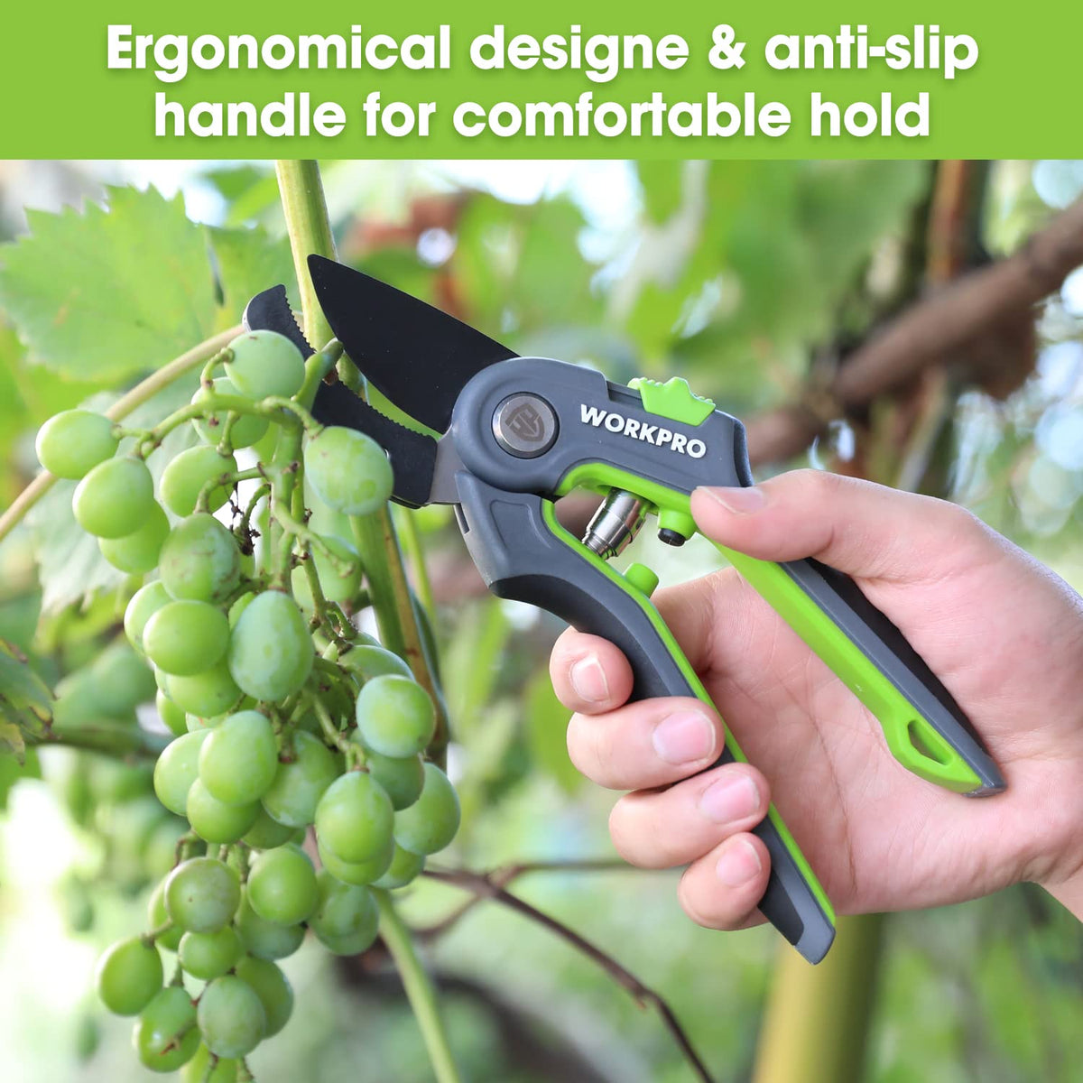 Anvil groove feature aids pruning of dead wood.