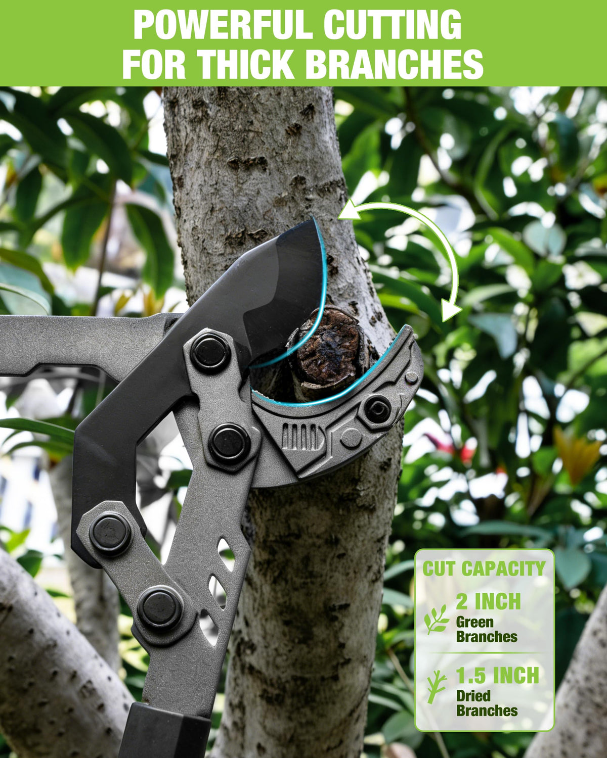 WORKPRO cutting capacity up to 2 inches for green branches and 1.5 inches dry wood.
