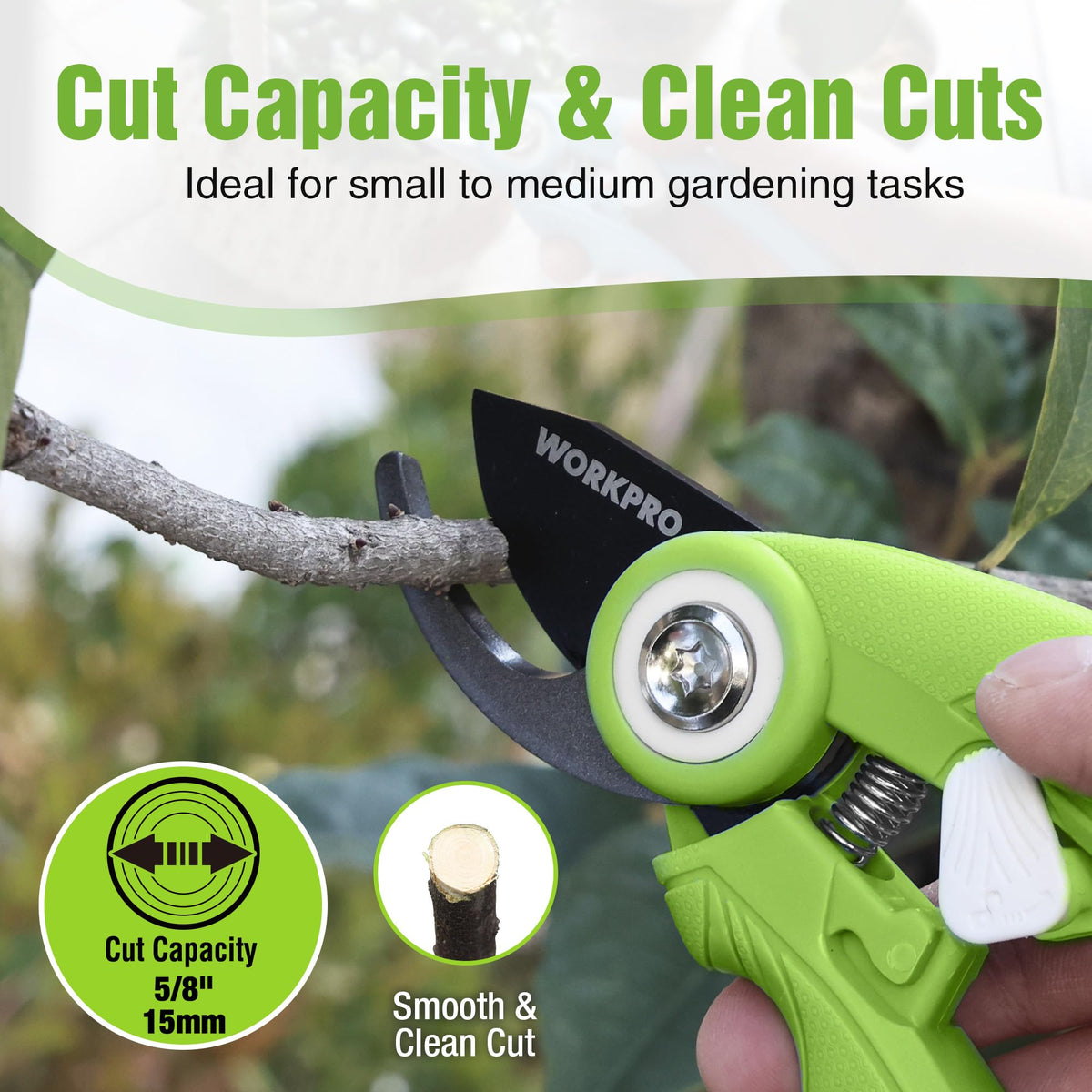 WORKPRO cutting dense stems and branches with ease for plant growth.