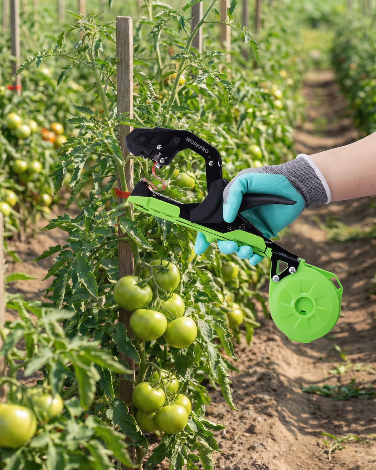WORKPRO Plant Tying Machine in action securing a plant stem.