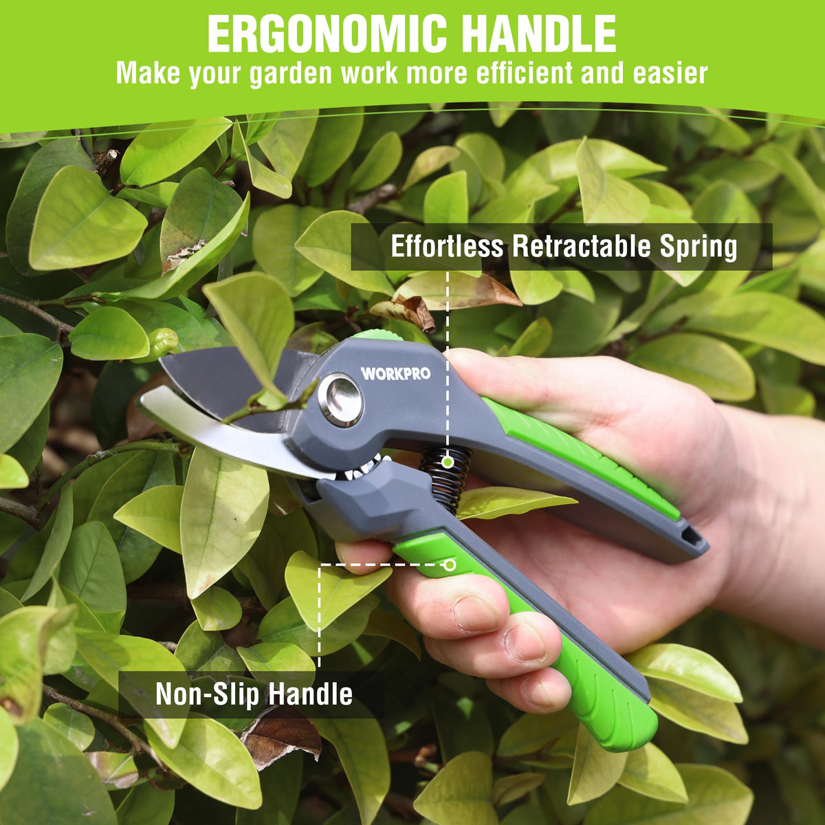 WorkPRO pruning flowers, shrubs, and small branches in garden