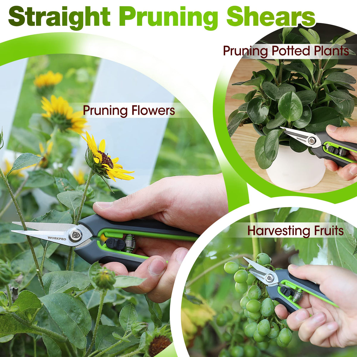 WorkPRO pruning shears in action for precise flower trimming.