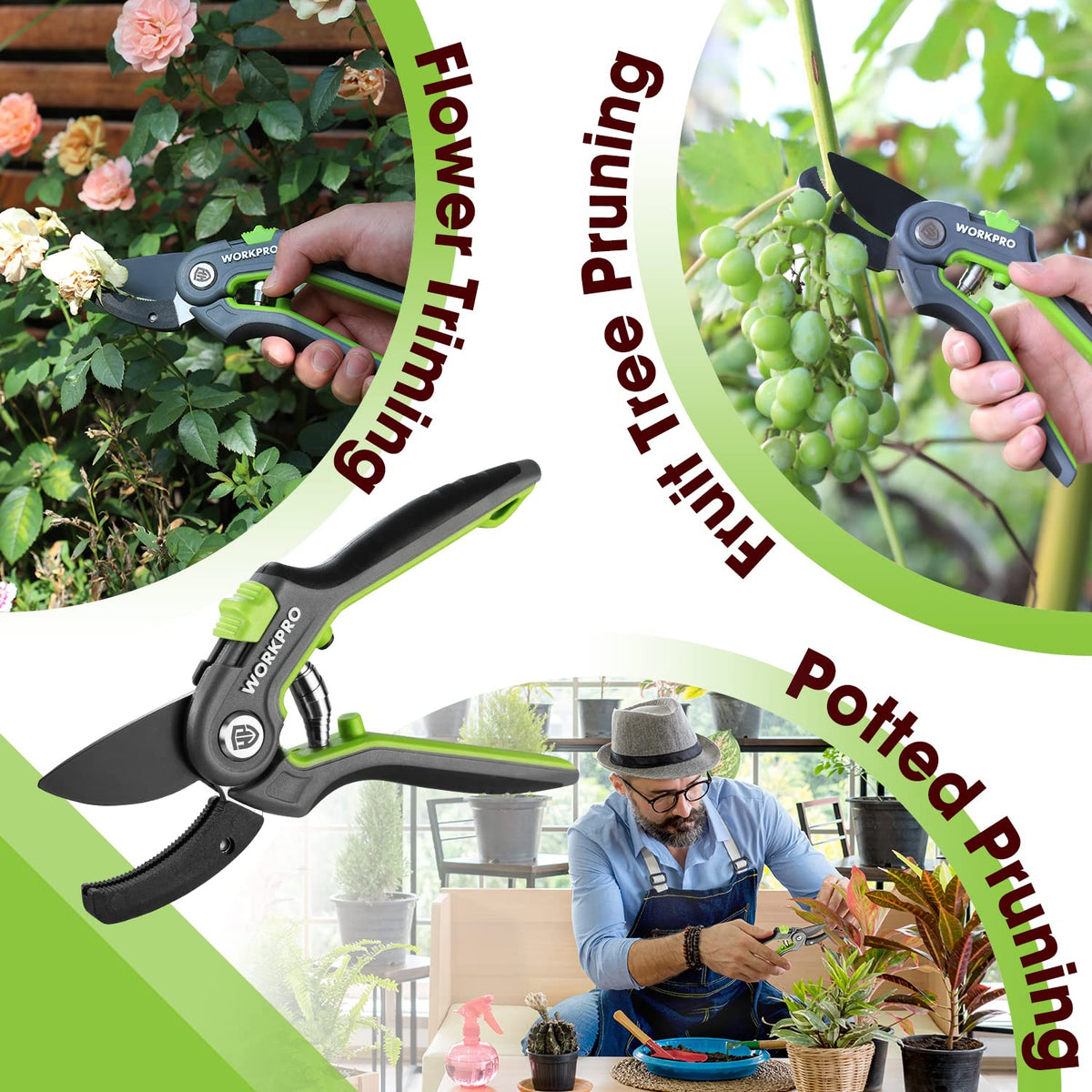 WORKPRO rose pruning with pruning shears in a garden.