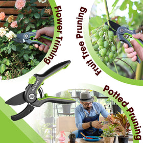 WORKPRO rose pruning with pruning shears in a garden.
