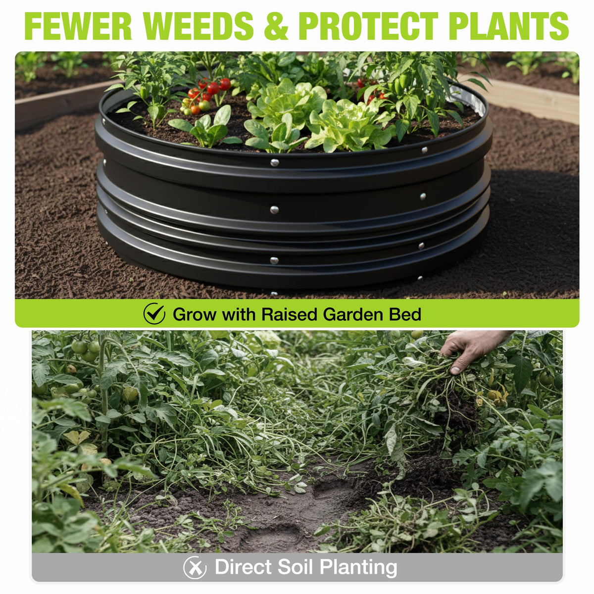 Beds ready for vegetables and flowers in a WORKPRO kit