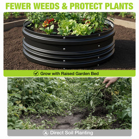 Beds ready for vegetables and flowers in a WORKPRO kit