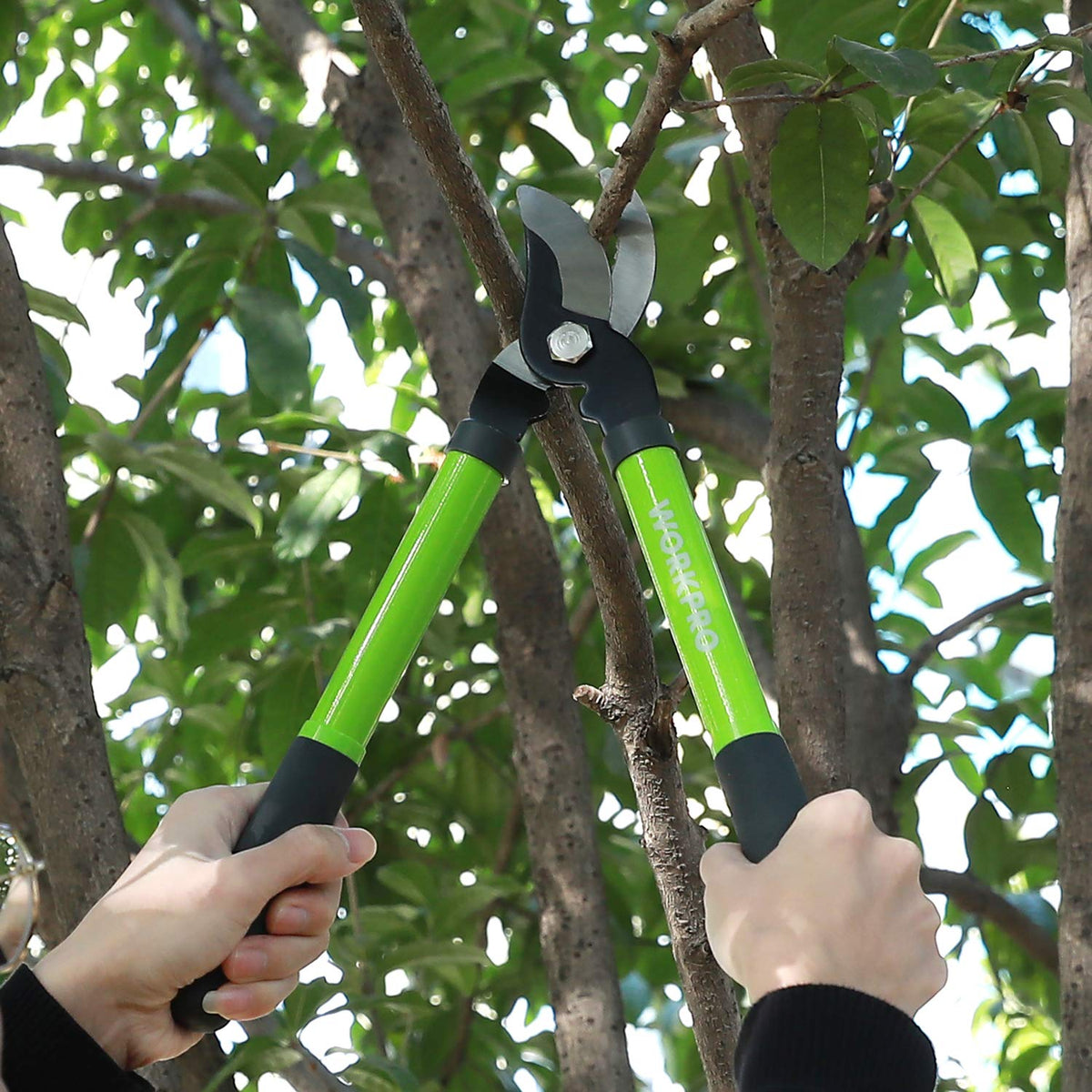 WORKPRO W151010 15inch lopper in use for larger branches