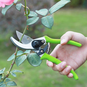WORKPRO W151010 8inch pruner for detailed trimming tasks