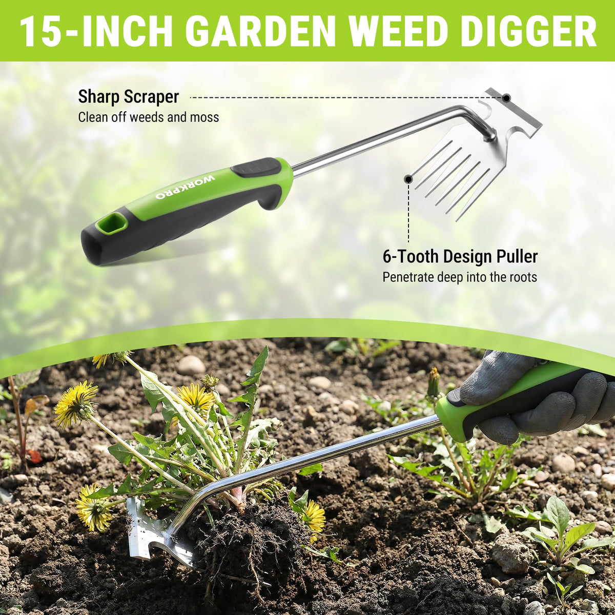 Stainless steel WORKPRO tools shown in a garden bed, built for durability and daily use.