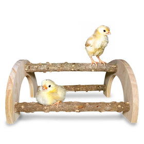 WORLEYX Chick Perch in natural wood for gentle perching in brooders.