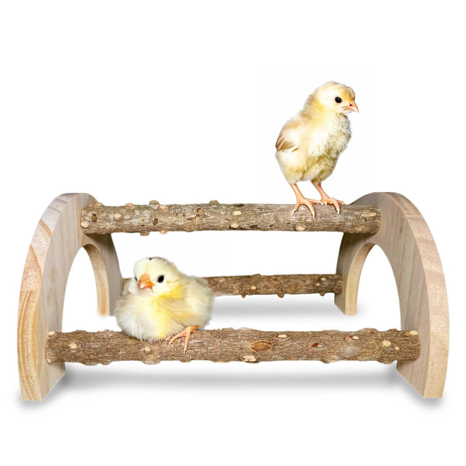 WORLEYX Chick Perch in natural wood for gentle perching in brooders.