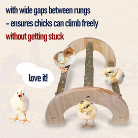 WORLEYX Chick Perch sturdy hardwood supports active young birds.