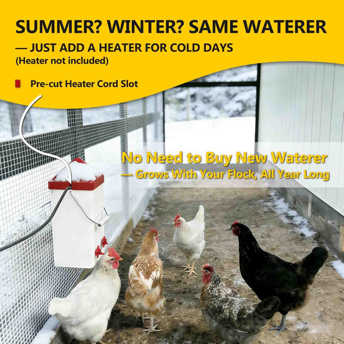 WORLEYX waterer height-adjustment lets chicks and adults drink at eye level