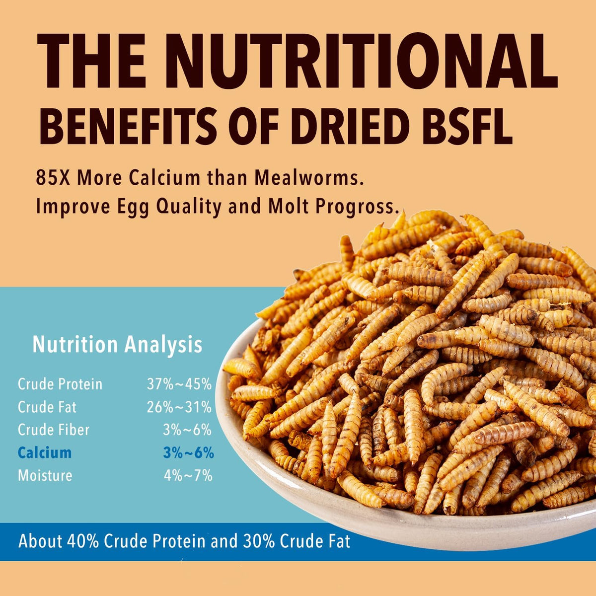 WormsFarm box packaging keeps BSF larvae fresh and crispy.