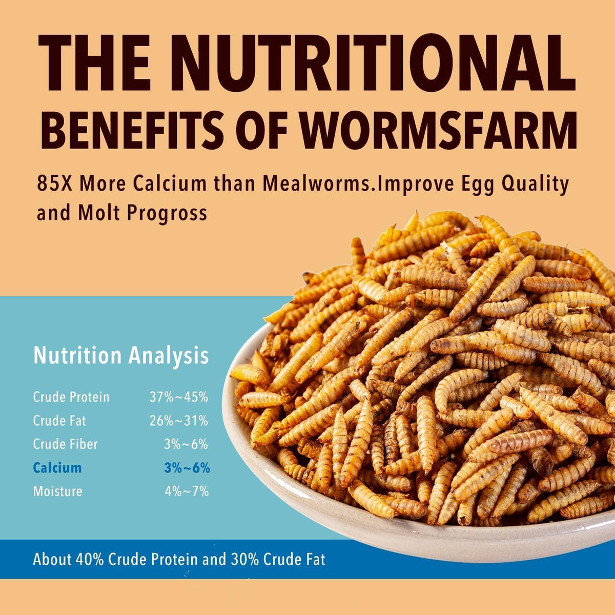 WormsFarm calcium-boost BSF larvae support calcium needs for hens during molting.