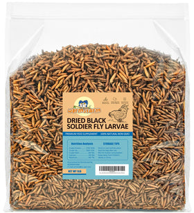 WormsFarm dried BSF larvae chicken snack in a box supporting healthier feathers and egg quality.
