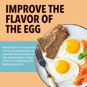 WormsFarm high-protein calcium-rich BSF larvae support poultry nutrition.