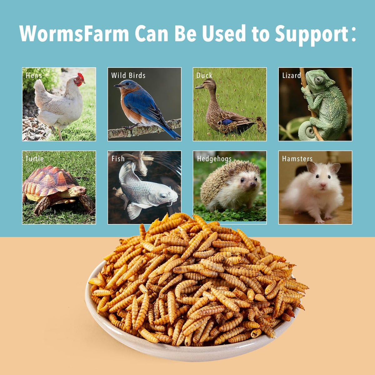 WormsFarm sustainable poultry snack that lures hens to the feeder.