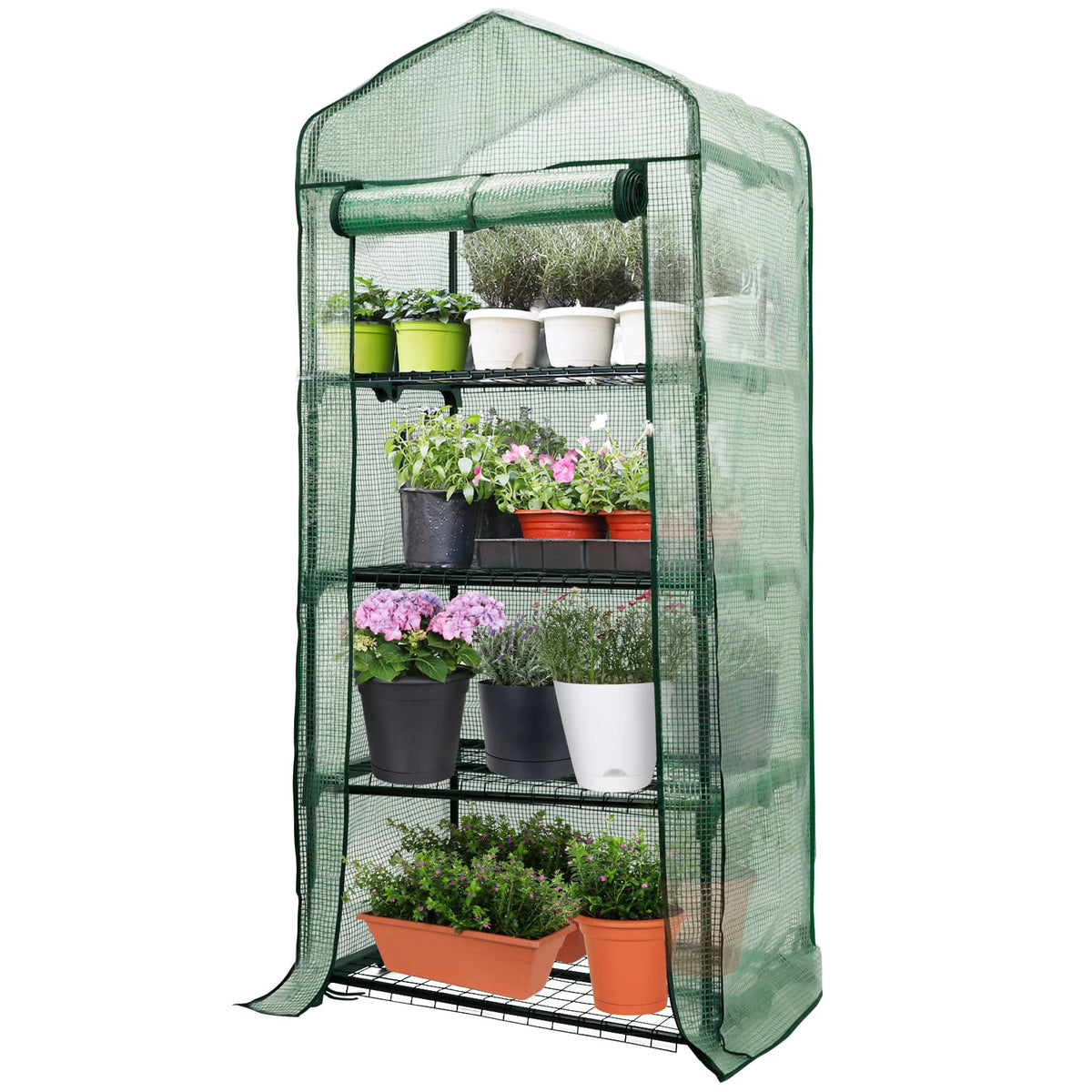 Worth Garden 4-Tier Mini Greenhouse front view with roll-up door for easy access