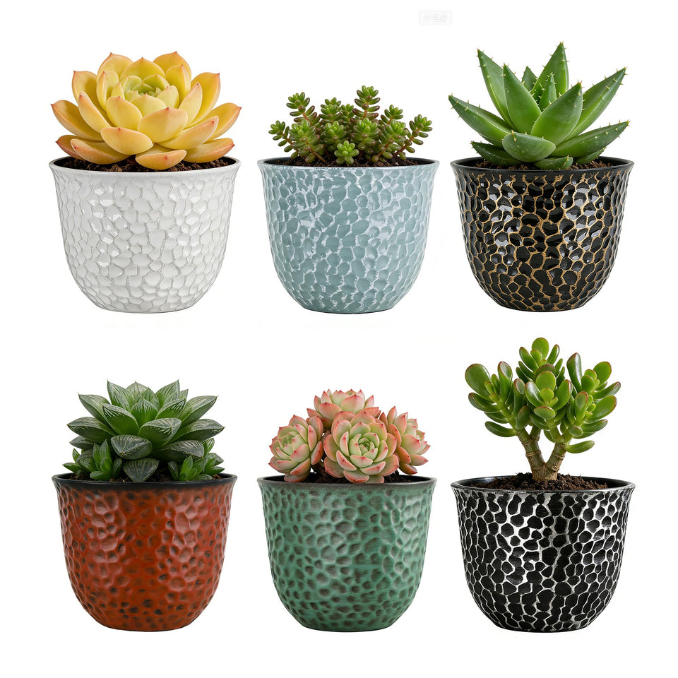 Worth Garden 8-inch round planter with colorful finish for indoor and outdoor displays.