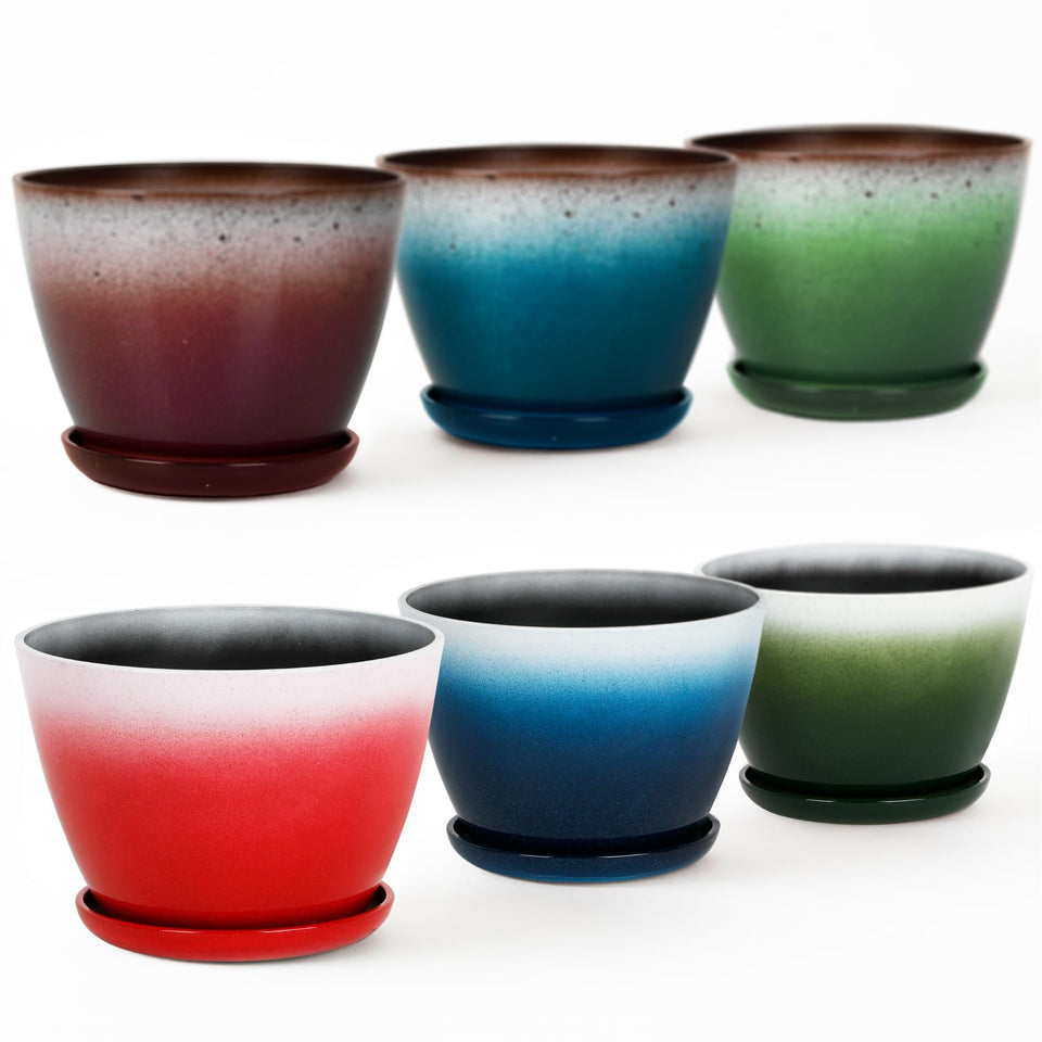 Worth Garden 8-inch pot with drainage hole and saucer for healthy watering control.