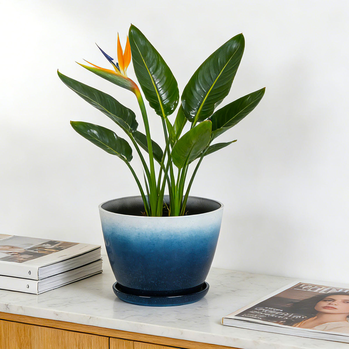 Worth Garden decorative flower pot design adds charm to living spaces.