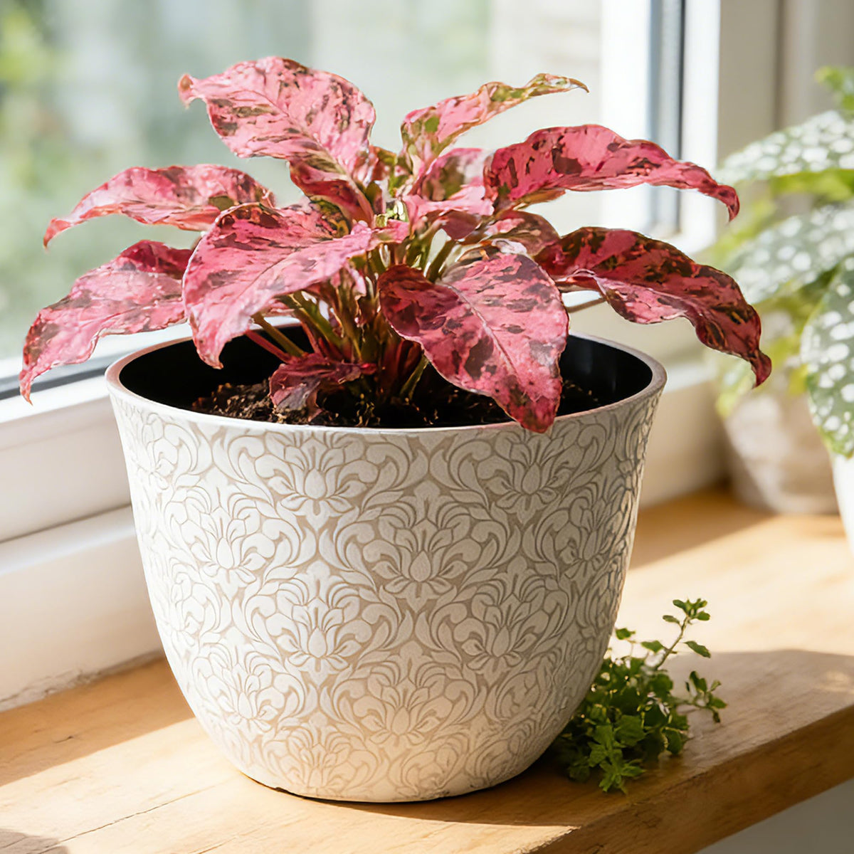 Worth Garden durable lightweight plastic pot withstands everyday use.