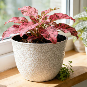 Worth Garden durable lightweight plastic pot withstands everyday use.