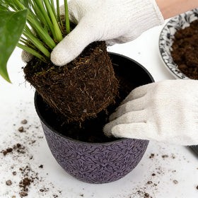 Worth Garden holiday decor pot enhances seasonal displays with colorful, lightweight planters.