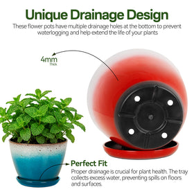 Worth Garden indoor-outdoor-use pot supports versatile gardening on balconies and patios.