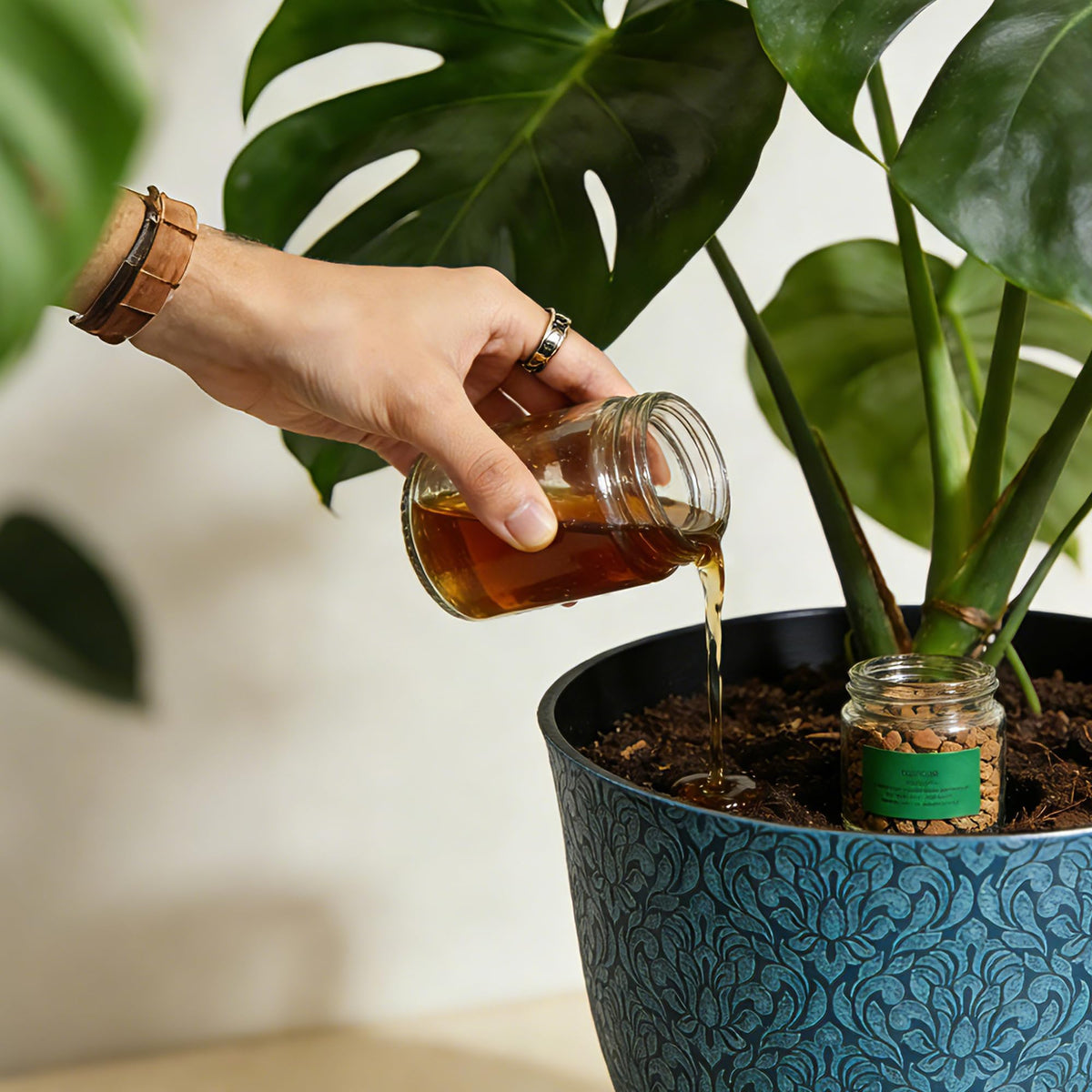 Worth Garden drainage-ready pot keeps soil fresh and roots happy.