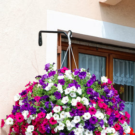 Worth Garden plant hanger bracket bird feeder use demonstrates versatile outdoor appeal.