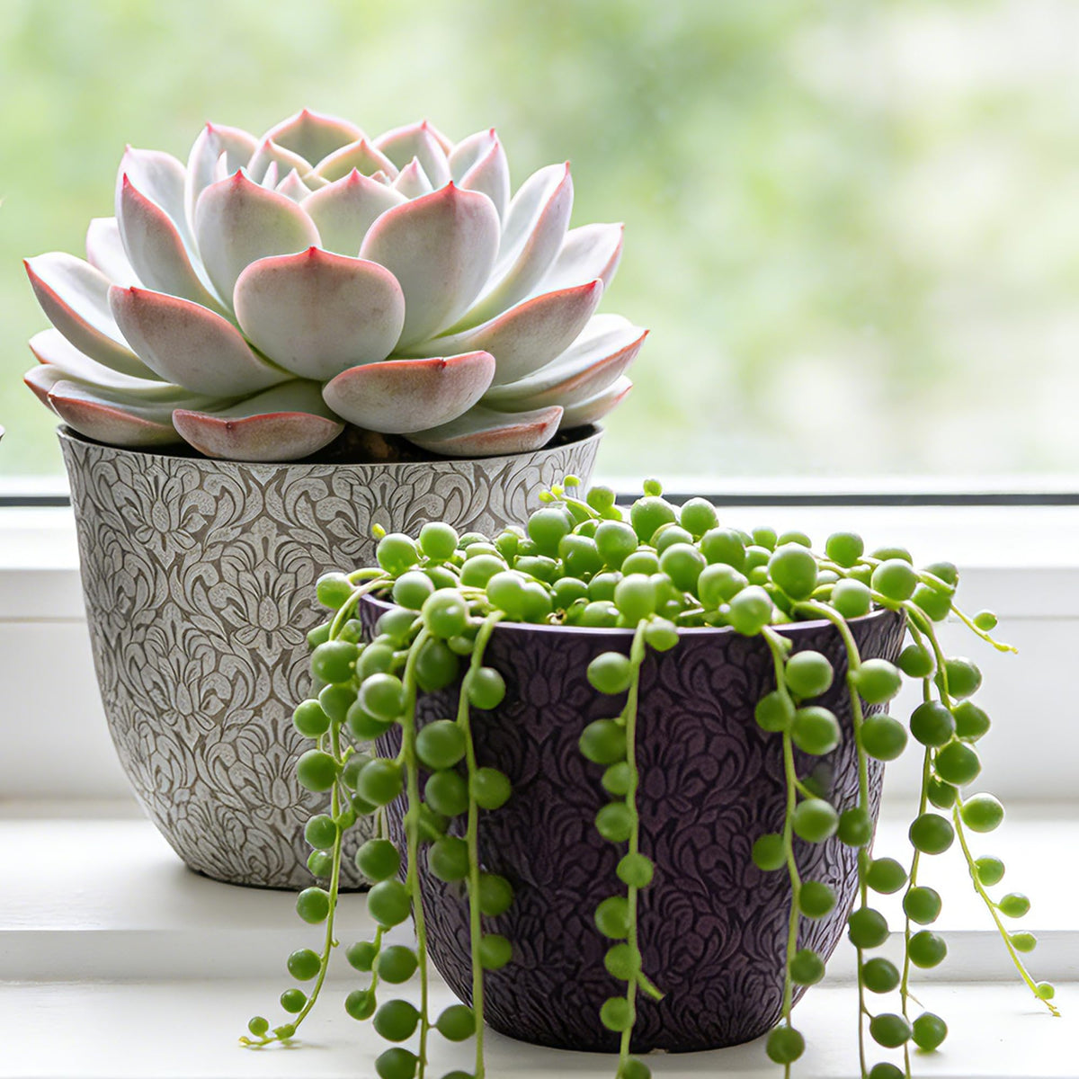 Worth Garden plastic pot with drainage hole and rubber plug for versatile watering.