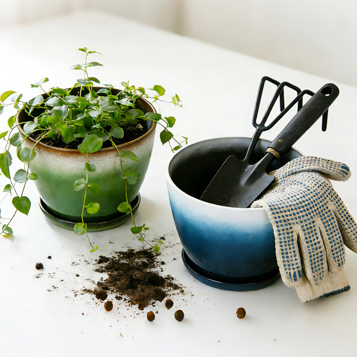 Worth Garden round pot with multicolor gradient enhances indoor decor and plant charm.