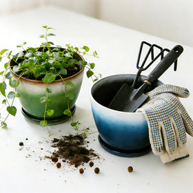 Worth Garden round pot with multicolor gradient enhances indoor decor and plant charm.
