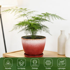 Worth Garden small gloss finish pot ideal for succulents, herbs, or tiny flowers.
