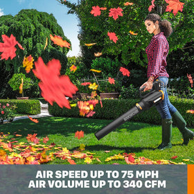 WORX blower delivers 360 cfm airflow ideal for leaves and pine needles.