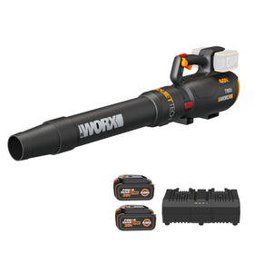 WORX WG582 cordless blower for easy yard cleanups.